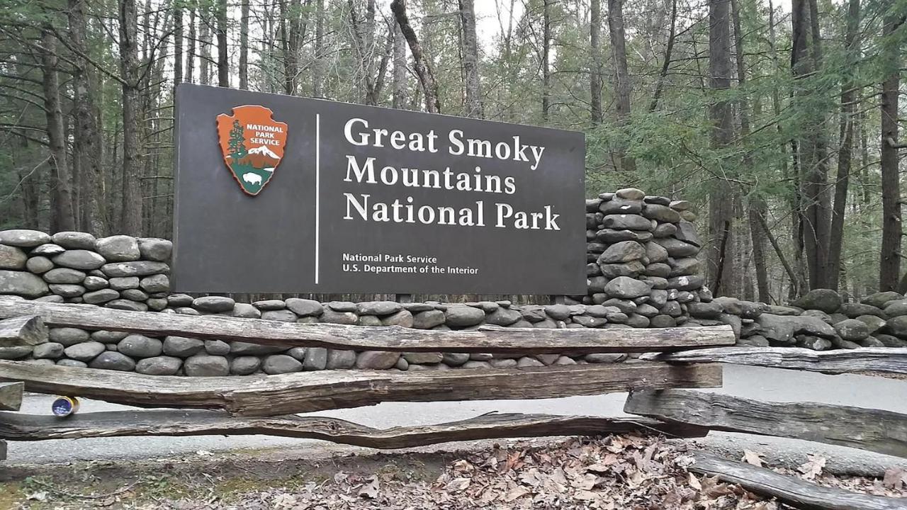 Tree Tops Retreat: Luxury Mountain Suites with Hot Tub and Bear Sightings Gatlinburg Exterior photo
