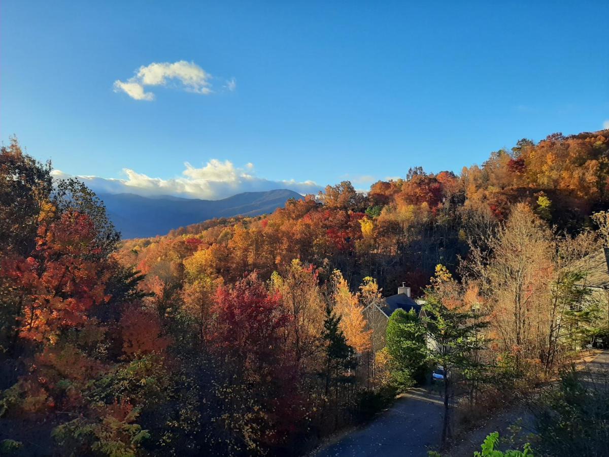 Tree Tops Retreat: Luxury Mountain Suites with Hot Tub and Bear Sightings Gatlinburg Exterior photo